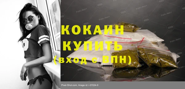 индика Абаза