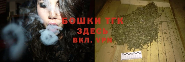индика Абаза
