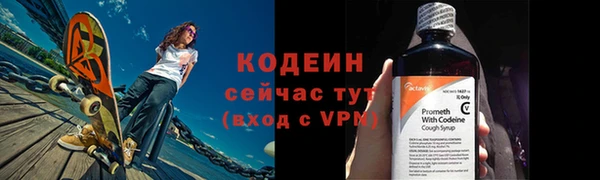 индика Абаза