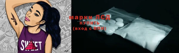 индика Абаза