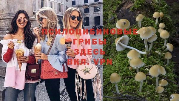 индика Абаза