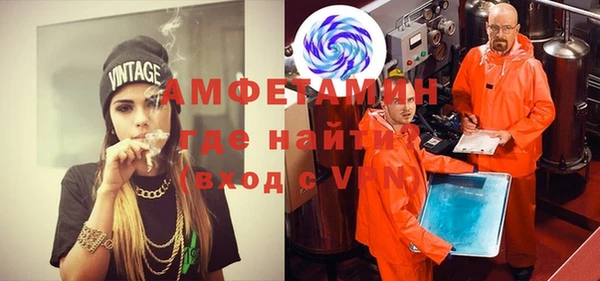 индика Абаза
